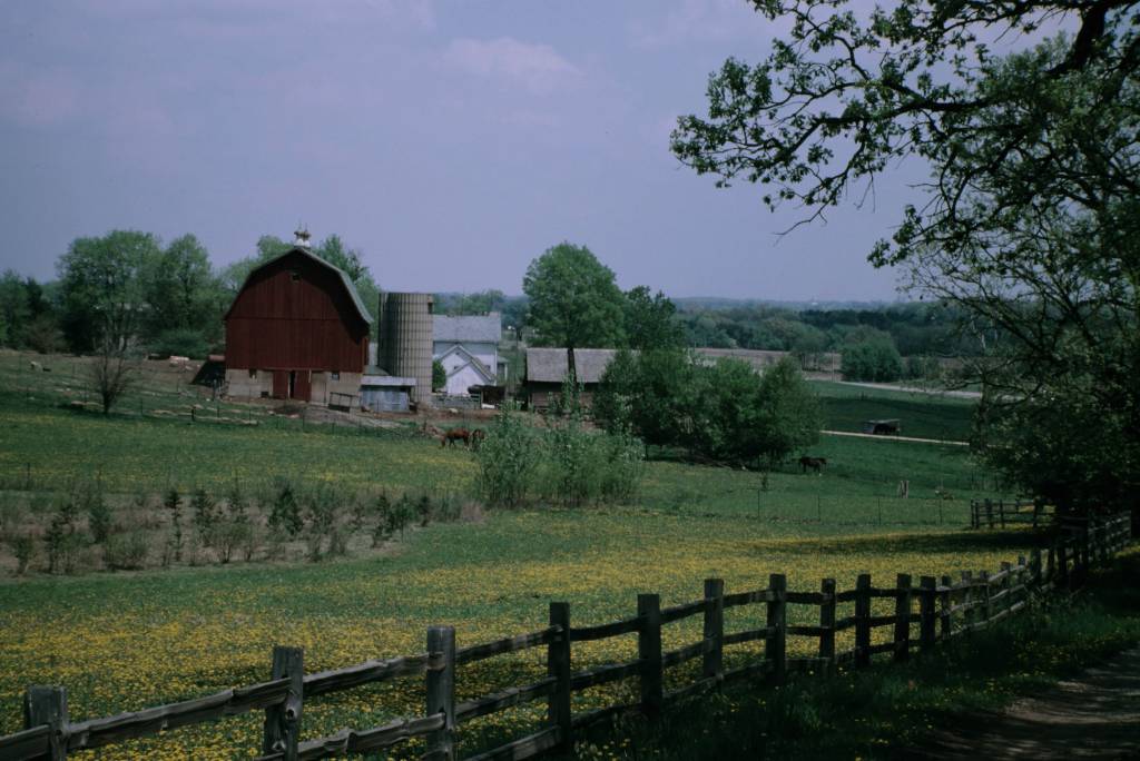 Down on the Farm