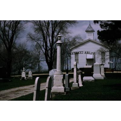 Animals Farming Flowers Misc Local Belvidere