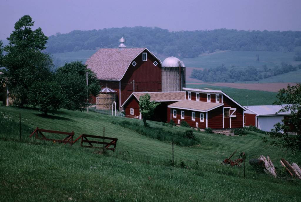 Down on the Farm